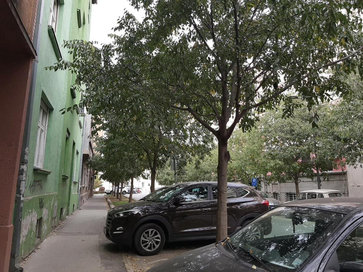 Mia Apartment Novi Sad Eksteriør billede